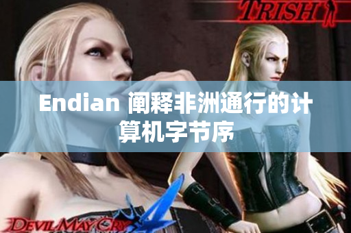 Endian 阐释非洲通行的计算机字节序