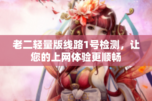 老二轻量版线路1号检测，让您的上网体验更顺畅