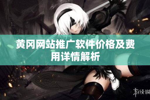 黄冈网站推广软件价格及费用详情解析