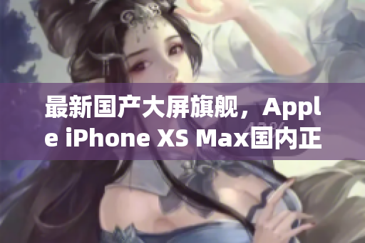 最新国产大屏旗舰，Apple iPhone XS Max国内正式上市