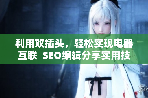 利用双插头，轻松实现电器互联  SEO编辑分享实用技巧