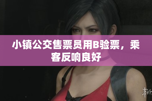 小镇公交售票员用B验票，乘客反响良好