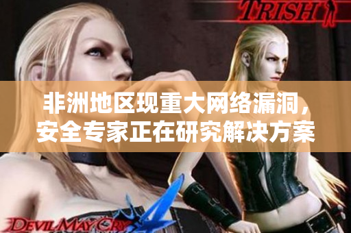 非洲地区现重大网络漏洞，安全专家正在研究解决方案
