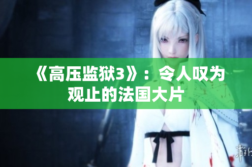 《高压监狱3》：令人叹为观止的法国大片