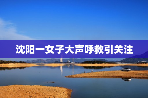 沈阳一女子大声呼救引关注