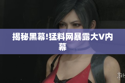 揭秘黑幕!猛料网暴露大V内幕