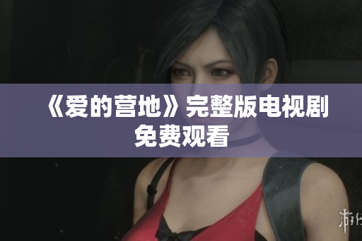 《爱的营地》完整版电视剧免费观看