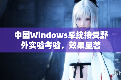 中国Windows系统接受野外实验考验，效果显著