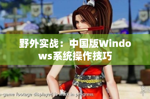 野外实战：中国版Windows系统操作技巧