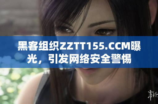 黑客组织ZZTT155.CCM曝光，引发网络安全警惕