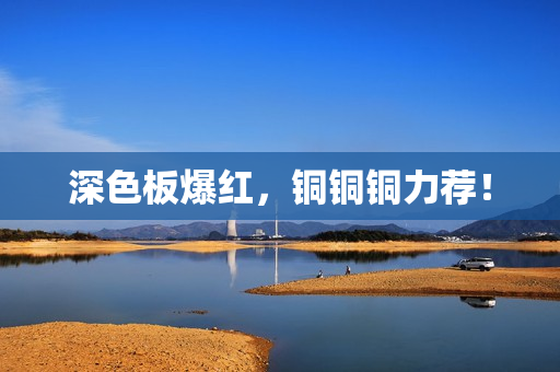 深色板爆红，铜铜铜力荐！