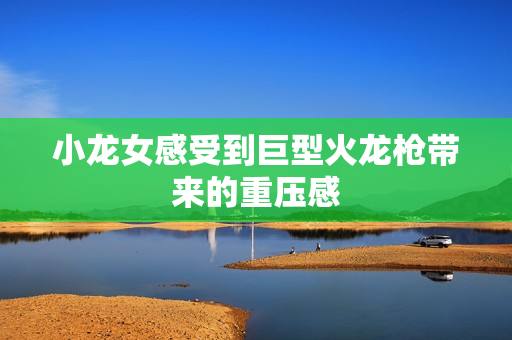 小龙女感受到巨型火龙枪带来的重压感