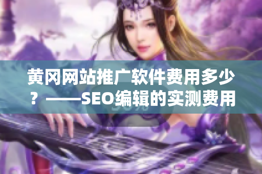 黄冈网站推广软件费用多少？——SEO编辑的实测费用说明