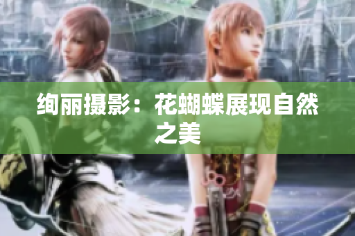 绚丽摄影：花蝴蝶展现自然之美