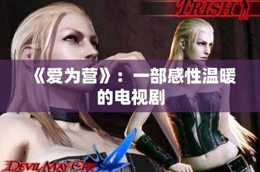 《爱为营》：一部感性温暖的电视剧