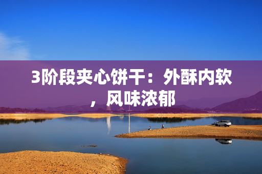3阶段夹心饼干：外酥内软，风味浓郁