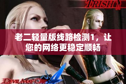 老二轻量版线路检测1，让您的网络更稳定顺畅