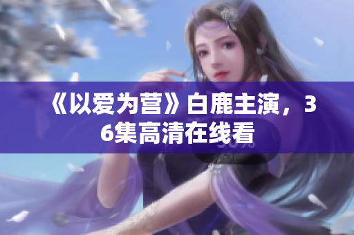 《以爱为营》白鹿主演，36集高清在线看