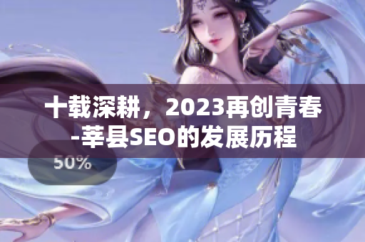 十载深耕，2023再创青春-莘县SEO的发展历程