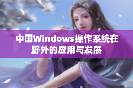 中国Windows操作系统在野外的应用与发展