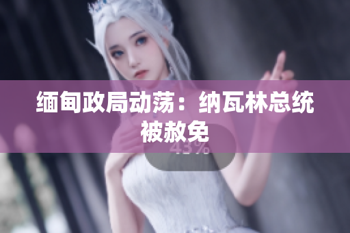 缅甸政局动荡：纳瓦林总统被赦免