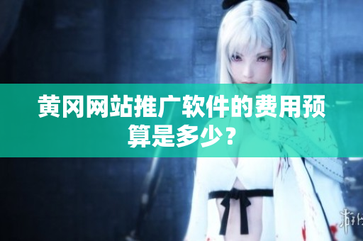 黄冈网站推广软件的费用预算是多少？