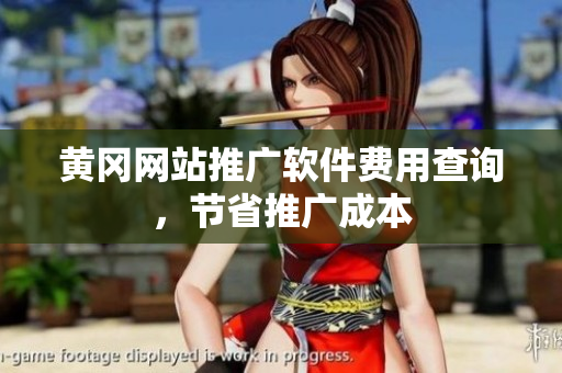 黄冈网站推广软件费用查询，节省推广成本