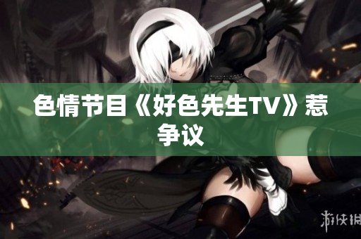 色情节目《好色先生TV》惹争议