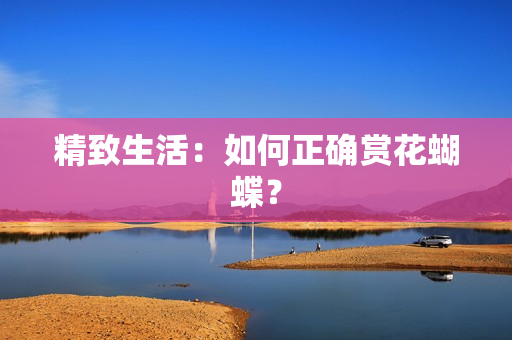精致生活：如何正确赏花蝴蝶？