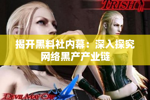 揭开黑料社内幕：深入探究网络黑产产业链