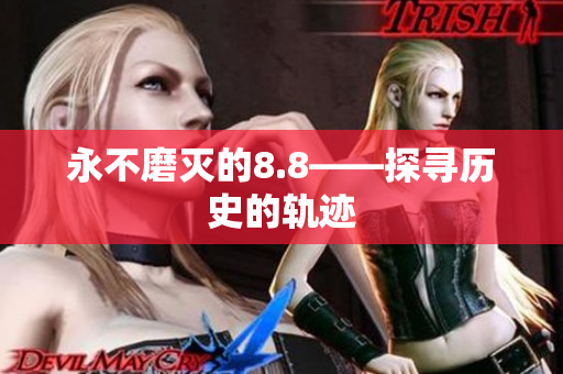 永不磨灭的8.8——探寻历史的轨迹