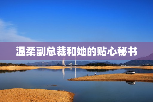 温柔副总裁和她的贴心秘书