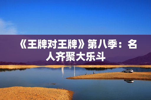《王牌对王牌》第八季：名人齐聚大乐斗