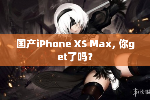 国产iPhone XS Max, 你get了吗？