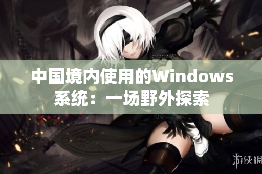 中国境内使用的Windows系统：一场野外探索