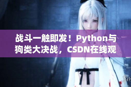 战斗一触即发！Python与狗类大决战，CSDN在线观看.