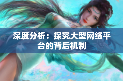 深度分析：探究大型网络平台的背后机制