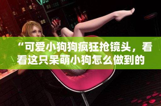 “可爱小狗狗疯狂抢镜头，看看这只呆萌小狗怎么做到的”
