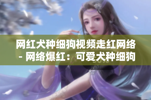 网红犬种细狗视频走红网络 - 网络爆红：可爱犬种细狗视频火热传播