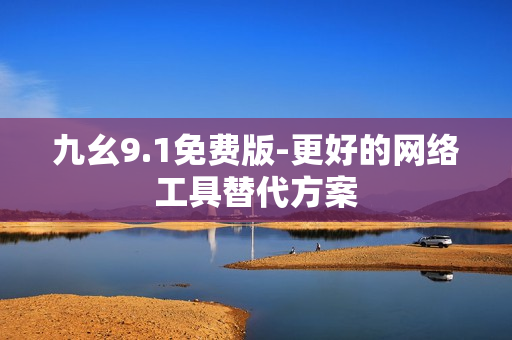 九幺9.1免费版-更好的网络工具替代方案