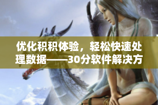 优化积积体验，轻松快速处理数据——30分软件解决方案