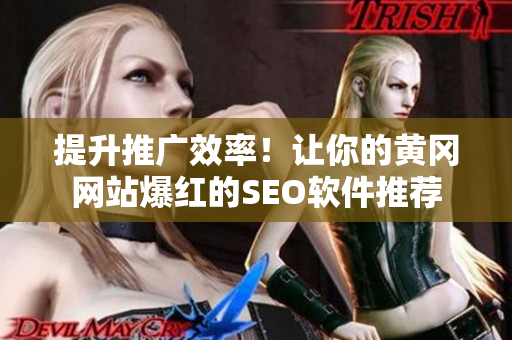 提升推广效率！让你的黄冈网站爆红的SEO软件推荐
