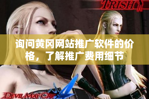 询问黄冈网站推广软件的价格，了解推广费用细节