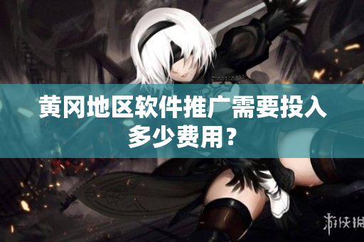 黄冈地区软件推广需要投入多少费用？