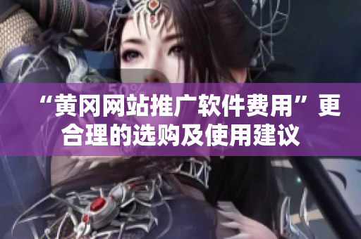 “黄冈网站推广软件费用”更合理的选购及使用建议