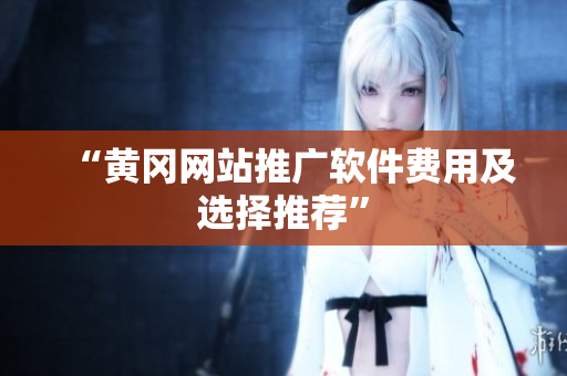 “黄冈网站推广软件费用及选择推荐”