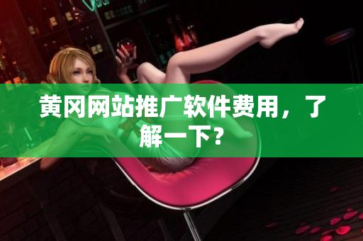 黄冈网站推广软件费用，了解一下？
