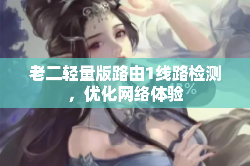 老二轻量版路由1线路检测，优化网络体验