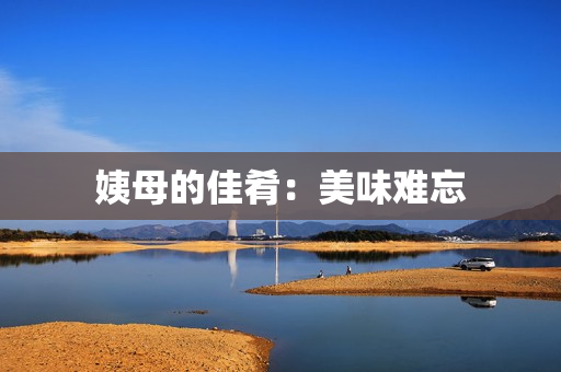 姨母的佳肴：美味难忘