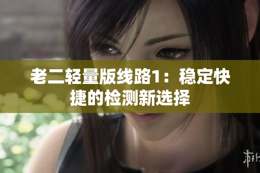 老二轻量版线路1：稳定快捷的检测新选择